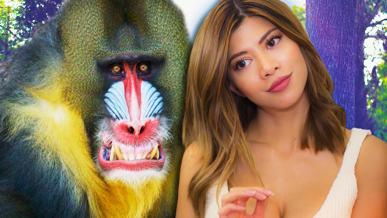 NETFLIX and MANDRILL - What Would You Do If..?
