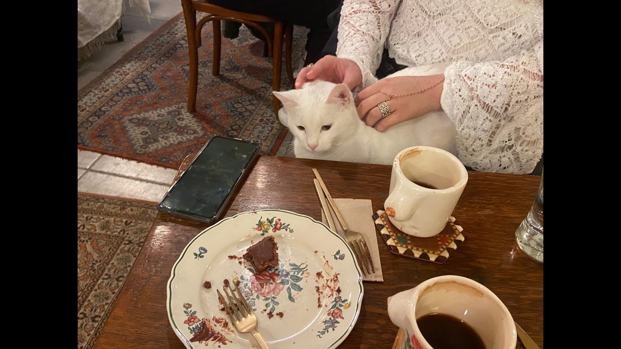 üni günlükleri I ajanda, projeler, karaköy
