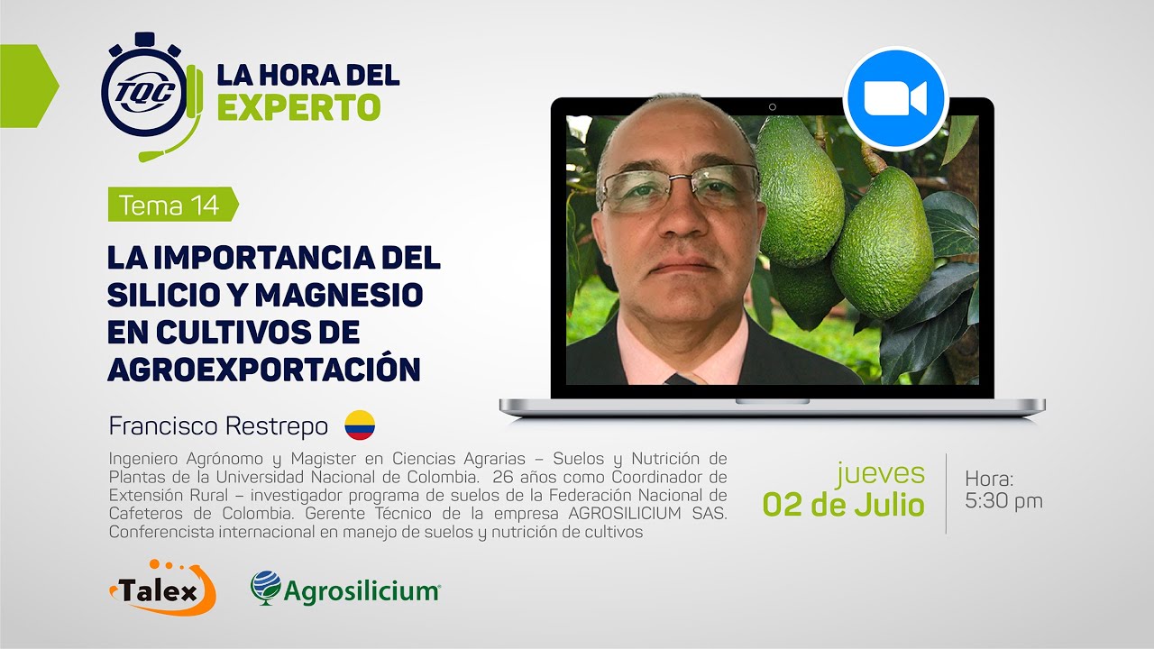 La Importancia del Silicio y Magnesio en Cultivos de Agroexportación
