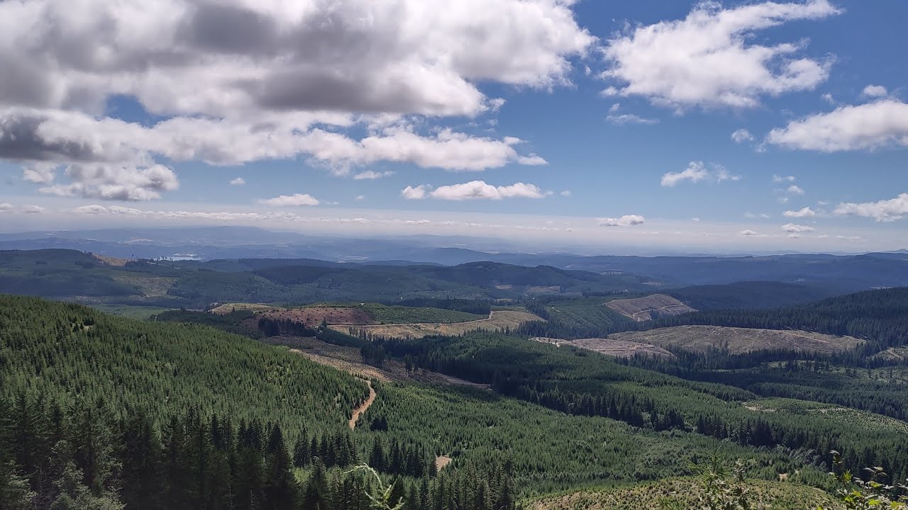 Getting There - The Road To South Saddle Mountain