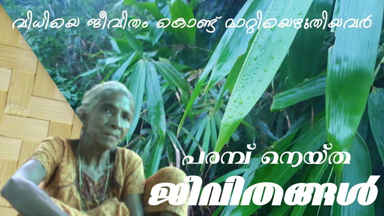 പരമ്പ്  നെയ്ത  ജീവിതങ്ങൾ | Bamboo, Etta Products In Kerala | Tribal Traditional Handicap, Parambu,