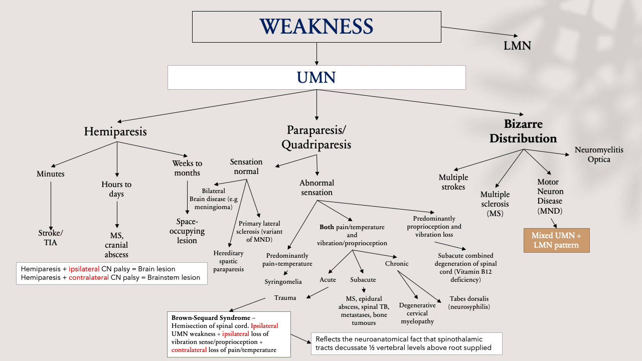 Concept Maps: ‘Approach to A Patient with weakness’