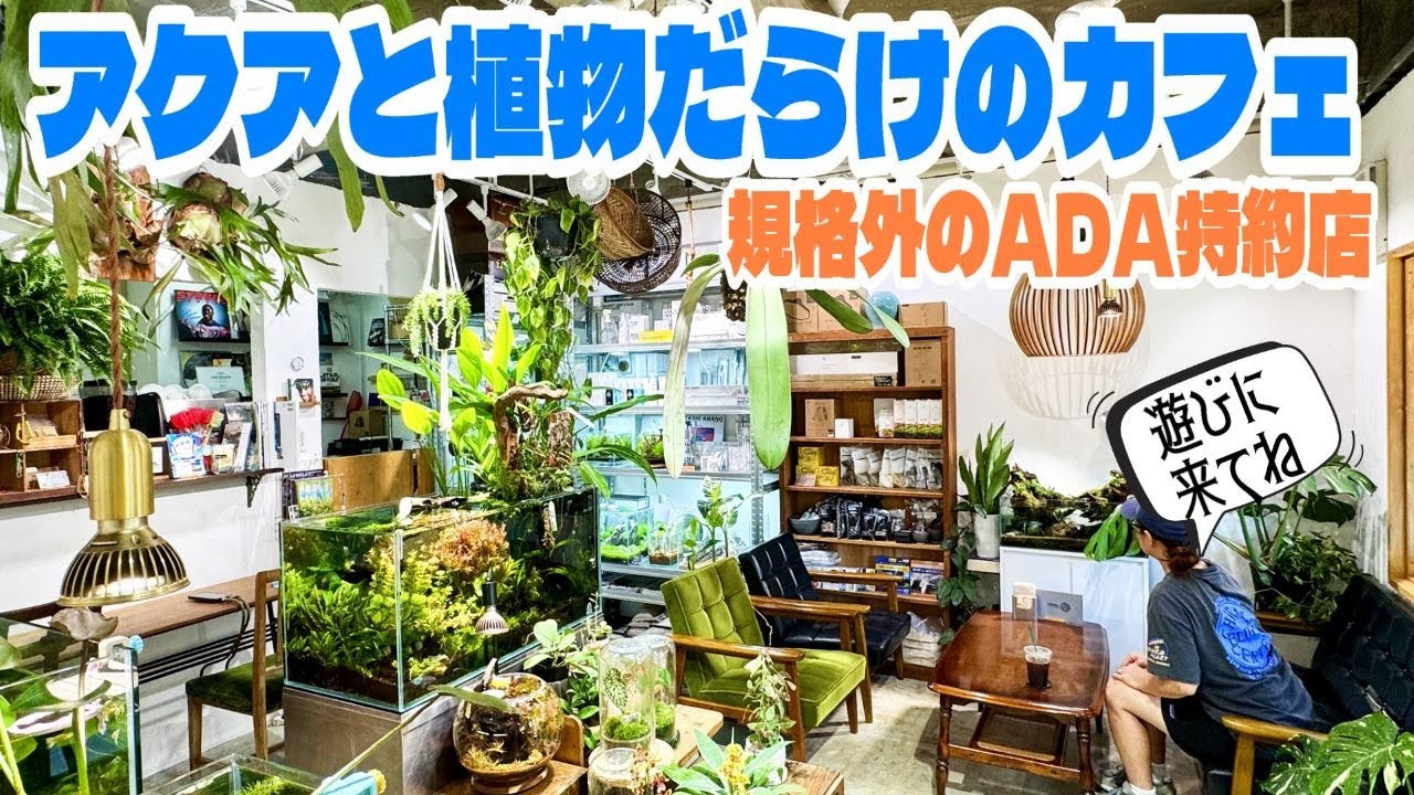 日本に唯一のADA特約店のカフェ！アクアリウムと植物だらけの癒し空間（グリーンウィズグッドコーヒーに癒されにきませんか？）