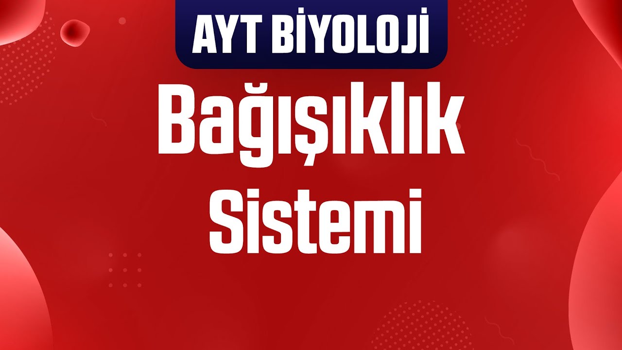 23) Tüm Kavramlarla Bağışıklık Sistemi