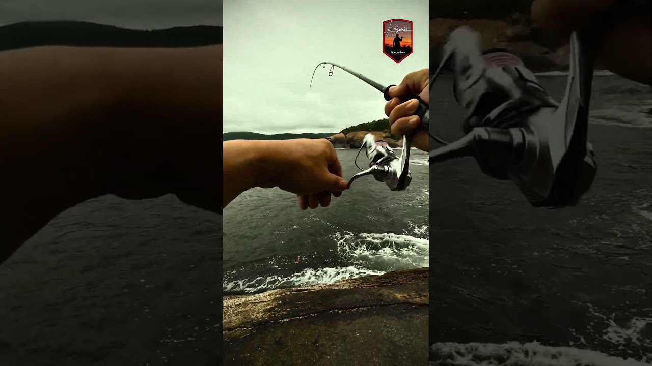 Pescaria de Lula ! #leobarabasfishingstyle #squidfishing #majorcraft #eging #pescaria #pesca