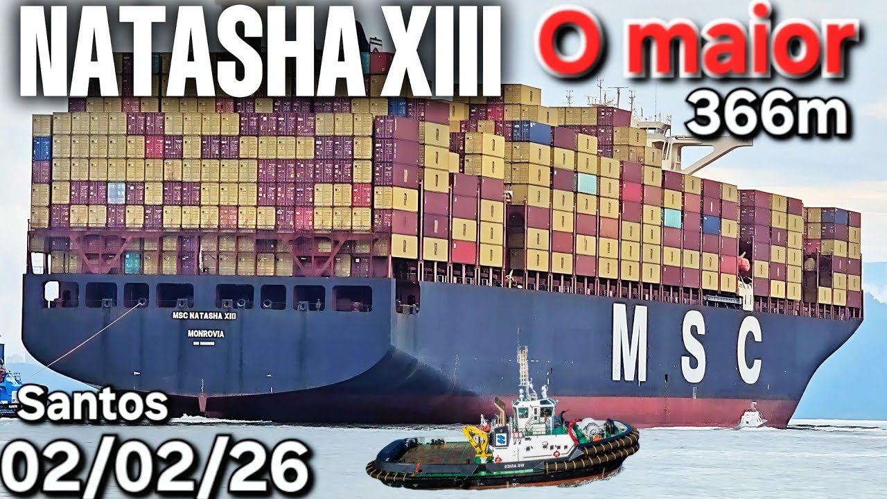 O maior navio de conteiner 02/02/26 Santos MSC NATASHA XIII ⁨@cruzeiros2025⁩ biggest navio saindo
