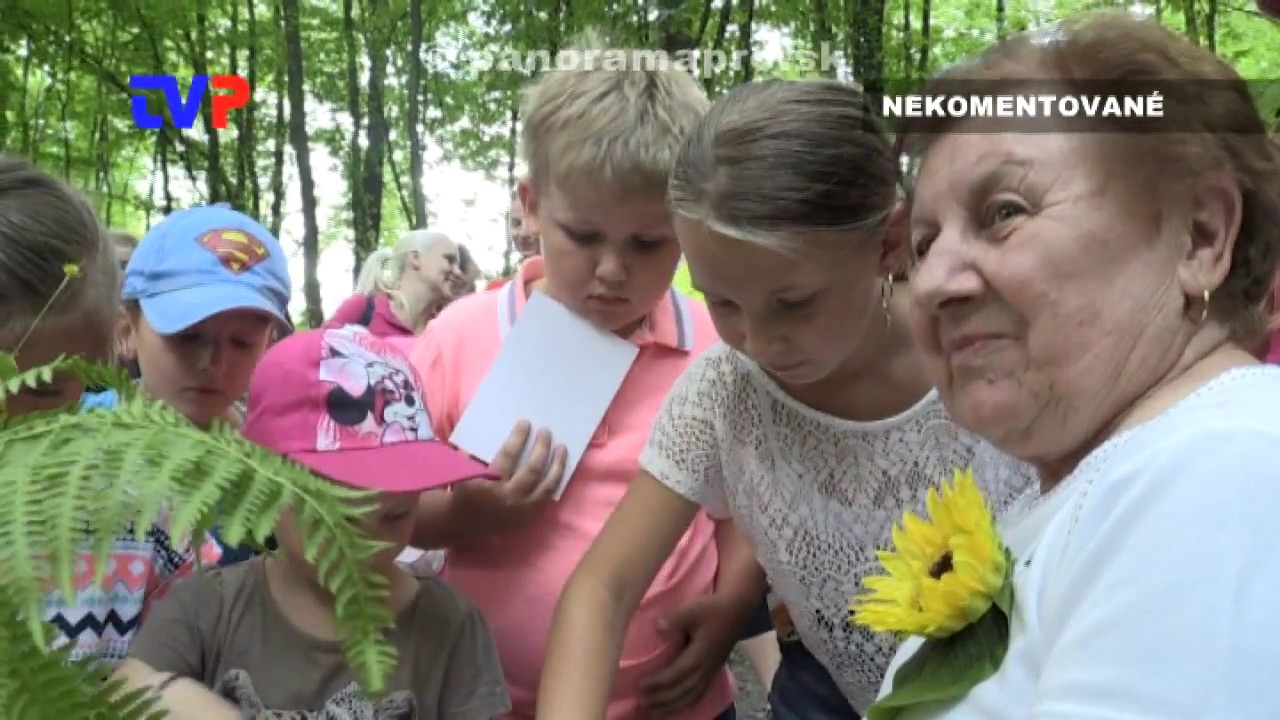 Rozprávková cesta na hrad