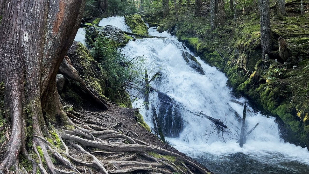 (4K UHD) FULL HIKE to Little Zigzag Falls! | Little Zigzag River | Mount Hood National Forest Oregon