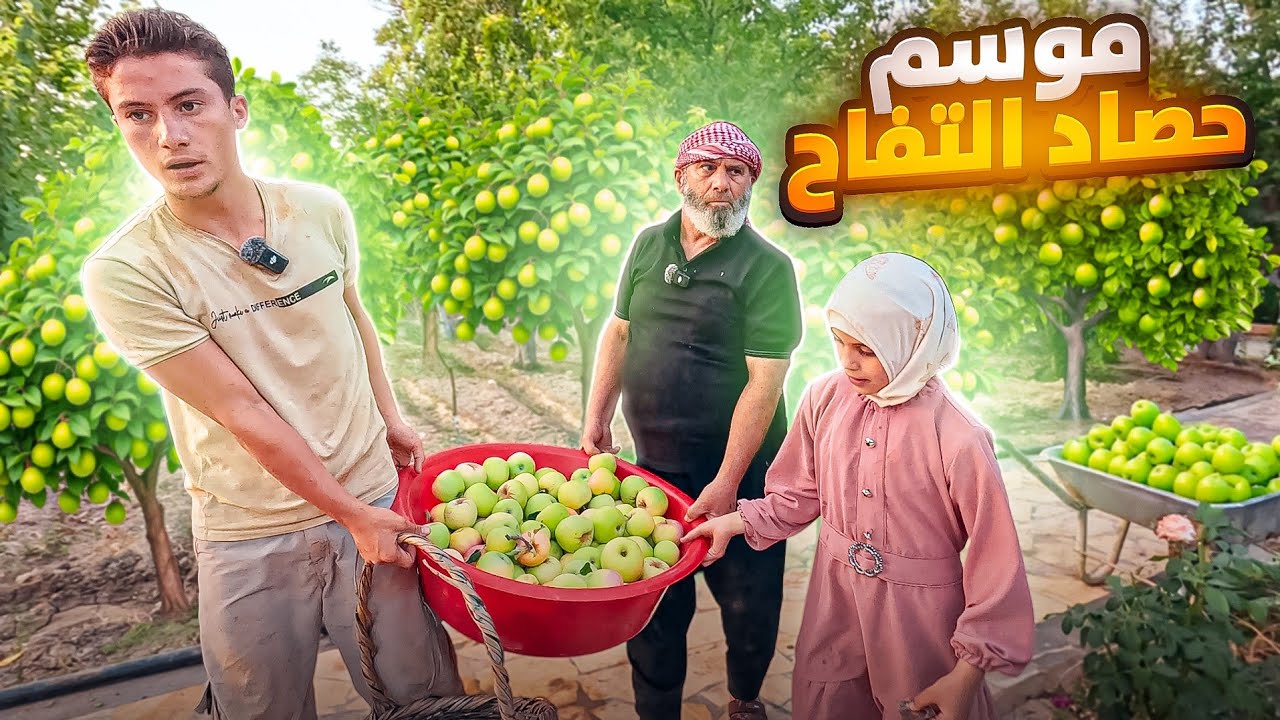  صنعنا اغلى انواع الخل من تفاح البستان