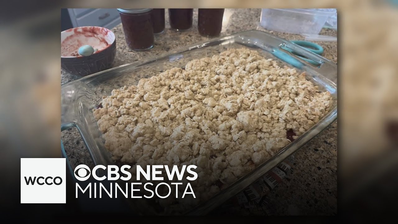 WCCO's Katie Steiner is a Minnesota State Fair ribbon winner!