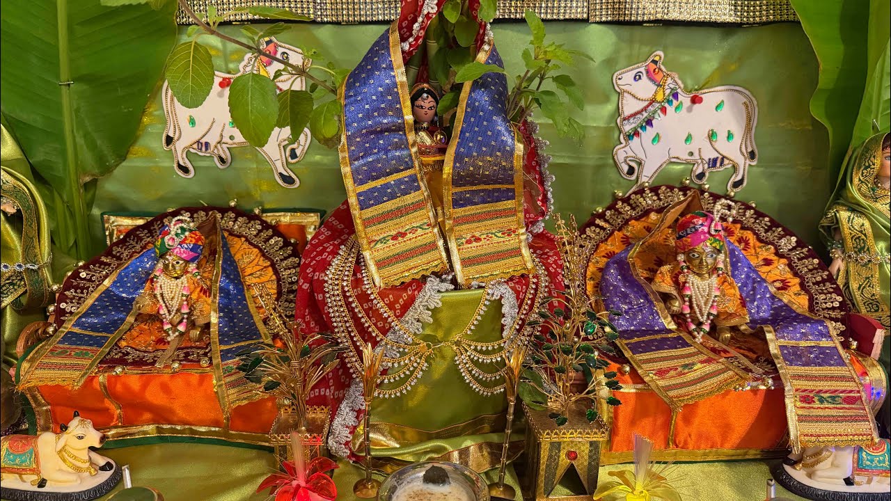 Tulsi Vivah  Darshan/ તુલસી વિવાહ દર્શન 