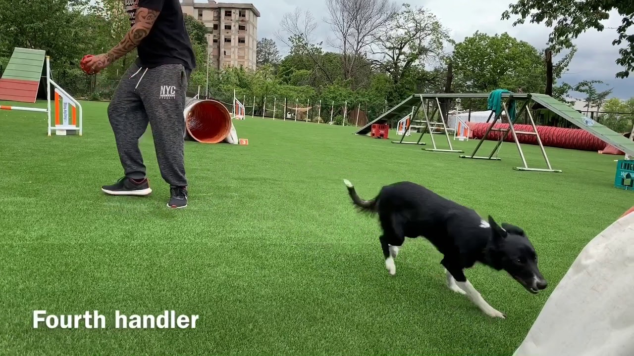 SAMI FOUNDATION, final video