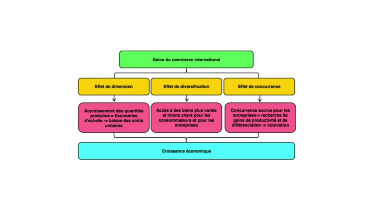Révisions Quels sont les fondements du commerce international et de l'internationalisation