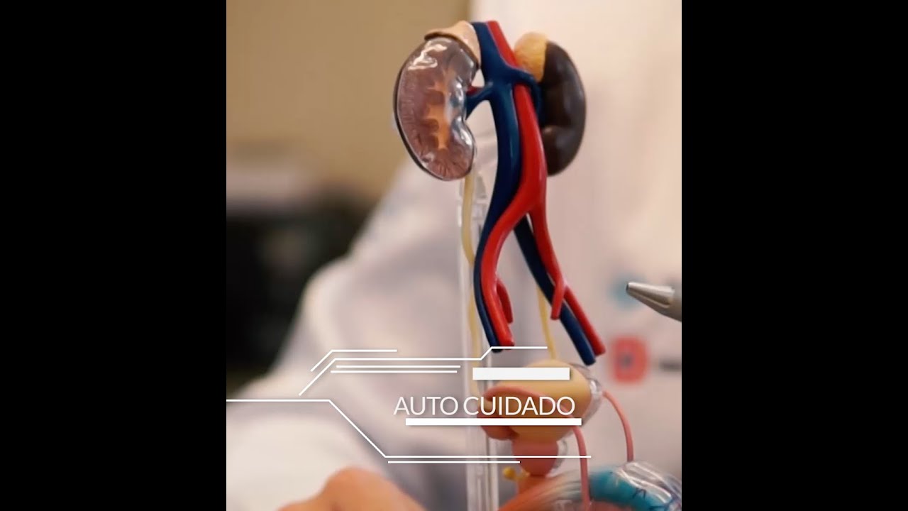 Consulta preventiva em Urologia