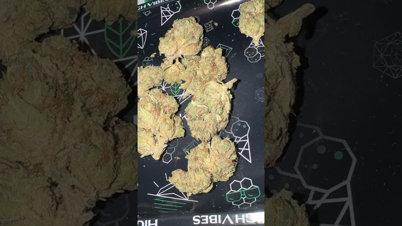 Pure Sunfarms - Pink Kush Quick Look | Latest Batch 2024 #medicalcannabis #ukmedical