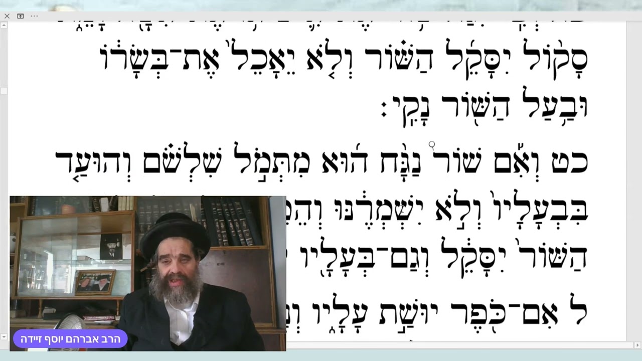 משפטים שני. אשכנז.