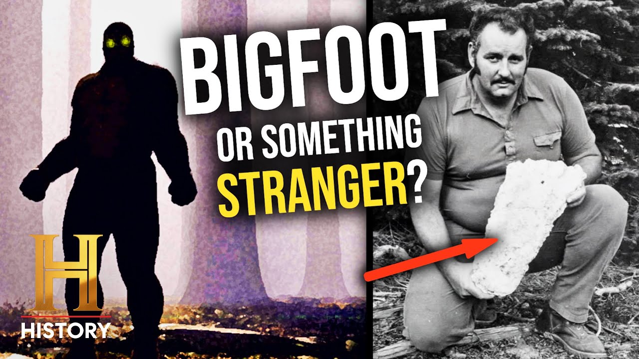 4 Eyewitness Stories of Bigfoot Sightings | The Proof Is Out There | History