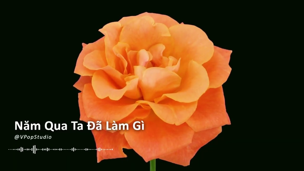 NĂM QUA ĐÃ LÀM GÌ – Bùi Công Nam | Acoustic Guitar Cover - Nhạc Tết Nhẹ Nhàng | V-Pop Studio