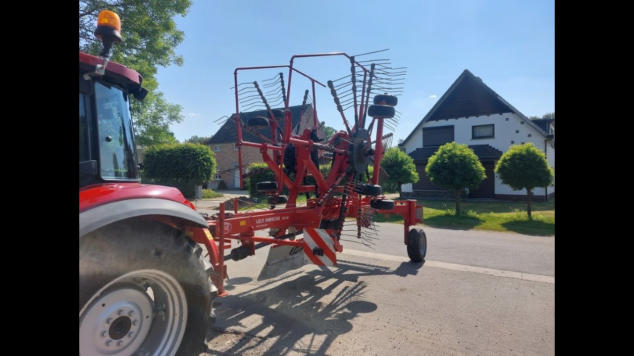 Lely Hibiscus 725 CD
