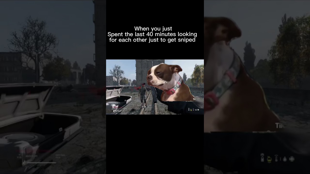 Dayz GREATEST moments #dayz #dayzclips #dayzgameplay #dayzmemes #viral #games