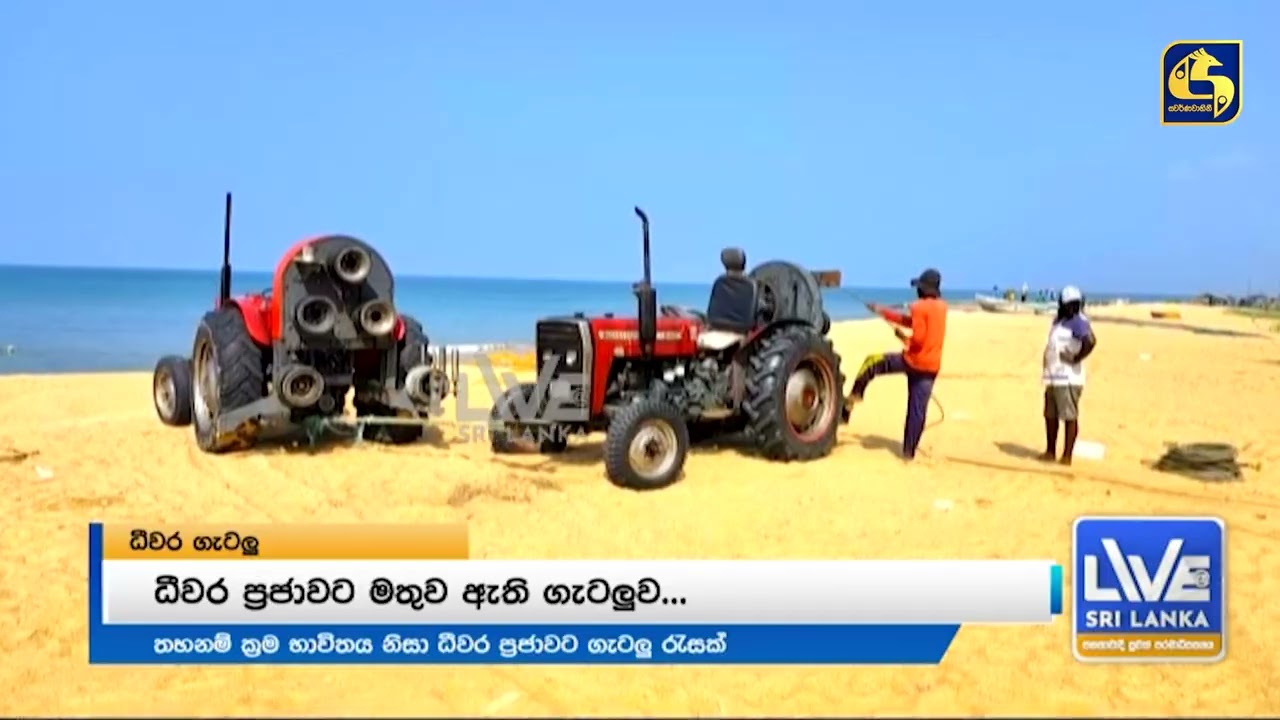 මහ පාරේ පැළ වෙන වී...