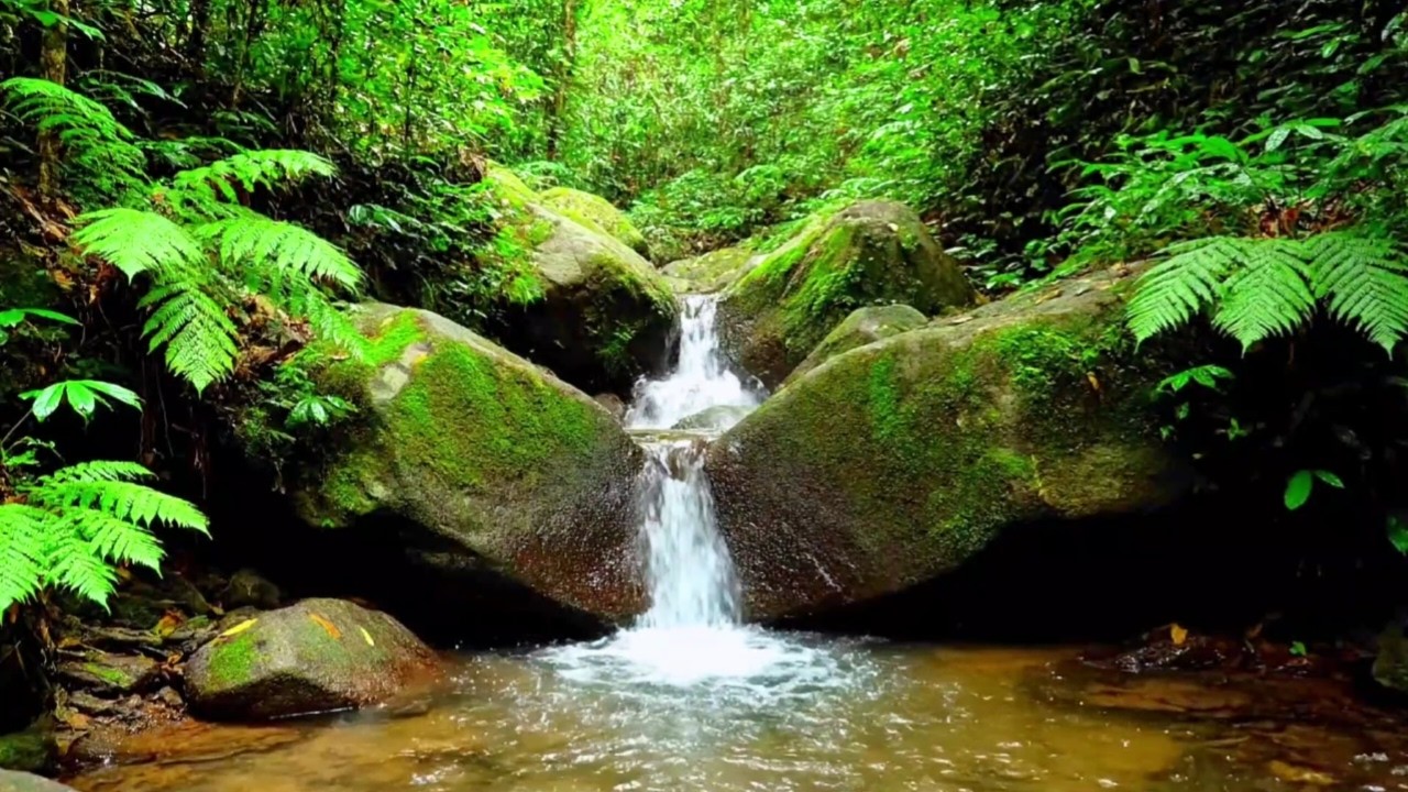 REALISTIC RIVER FLOW AMBIENCE FOR DEEP SLEEP, STUDY, RELAXATION AND INSOMNIA RELIEF | 8 HOURS