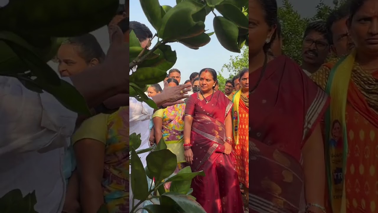 బత్తాయి రైతుల కష్టాలు తీర్చాలి | Kalvakuntla Kavitha Visits Battayi Farms in Nalgonda