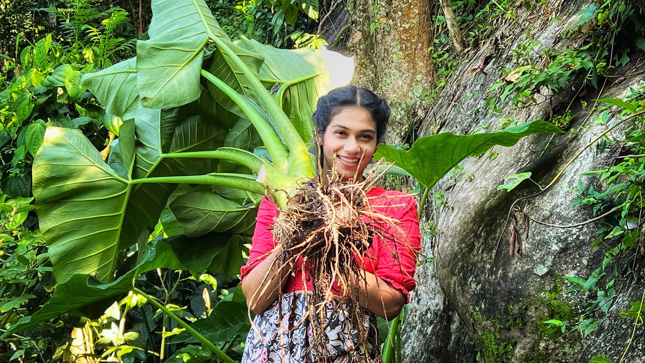 Hill Country Storm Days | Village Cooking with Taro Root & Stem