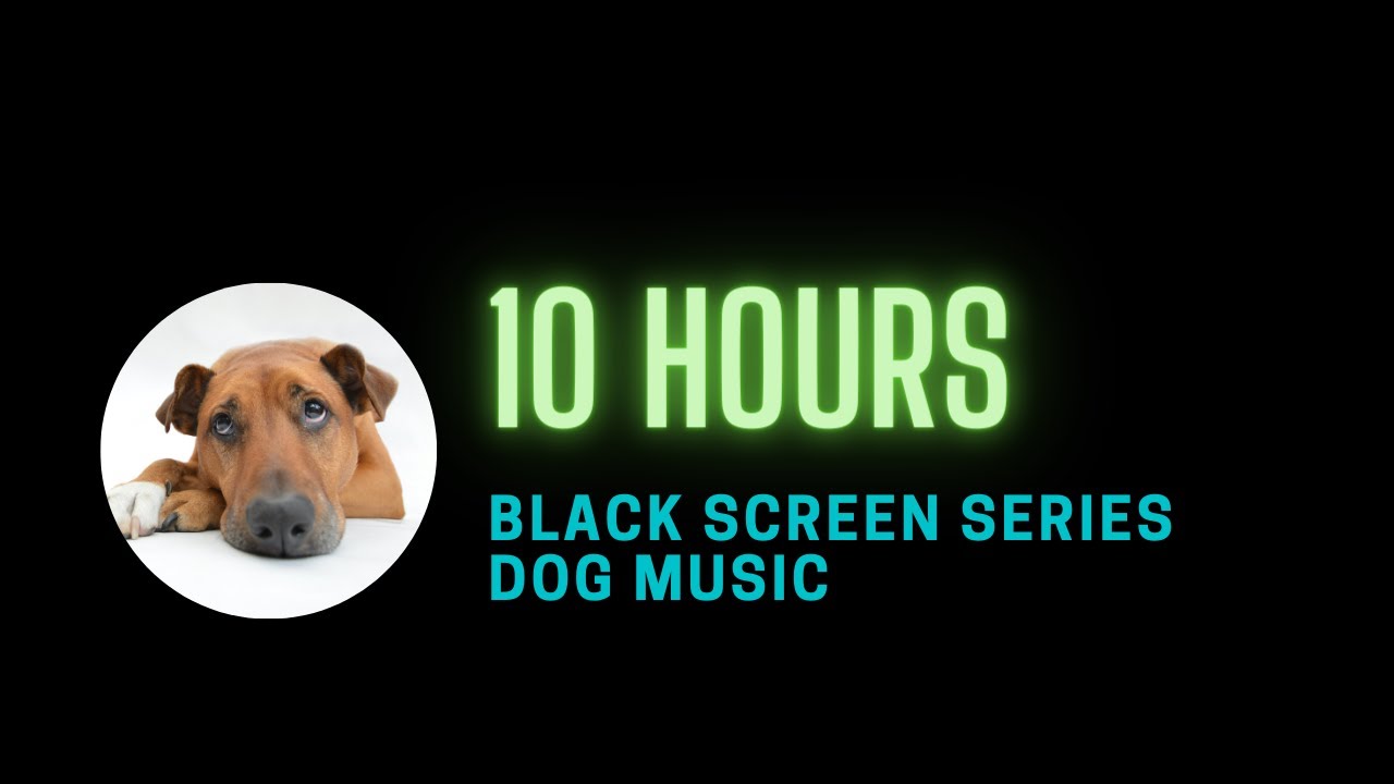 10 hours Dog Music to go to sleep [Calming Sounds for dogs] BLACK SCREEN
