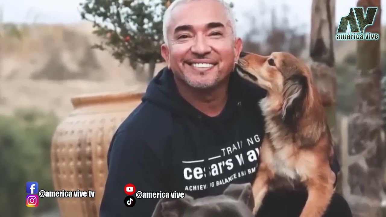 Qué pasó con el Encantador de Perros?