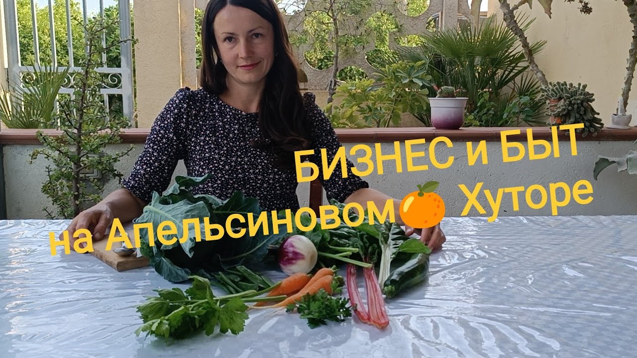 99. ОНИ на меня НАПАЛИ, когда я готовила обед! Мариную мясо, делаю посылки с апельсинами.