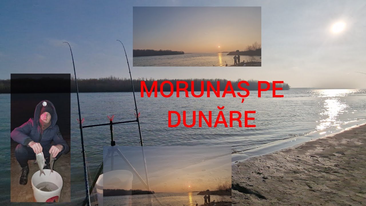 SE POATE PRINDE PESTE PE DUNARE CHIAR SI IN ACEASTA PERIOADA . PESCUIT LA FEEDER