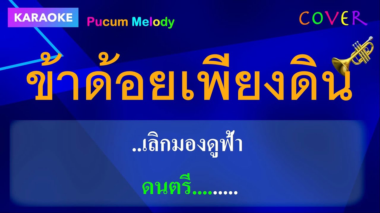 ข้าด้อยเพียงดินคาราโอเกะ