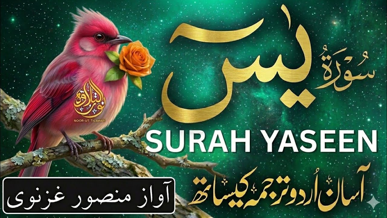 Surah Yasin Full with Urdu Translation | Morning Recitation for Barakah | Qari Mansoor Ghaznavi | 