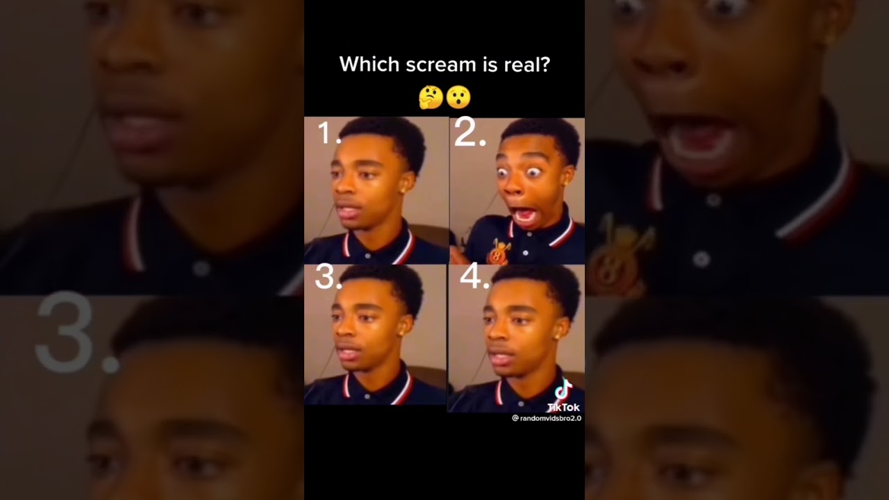 which flight reacts scream is real 🤨