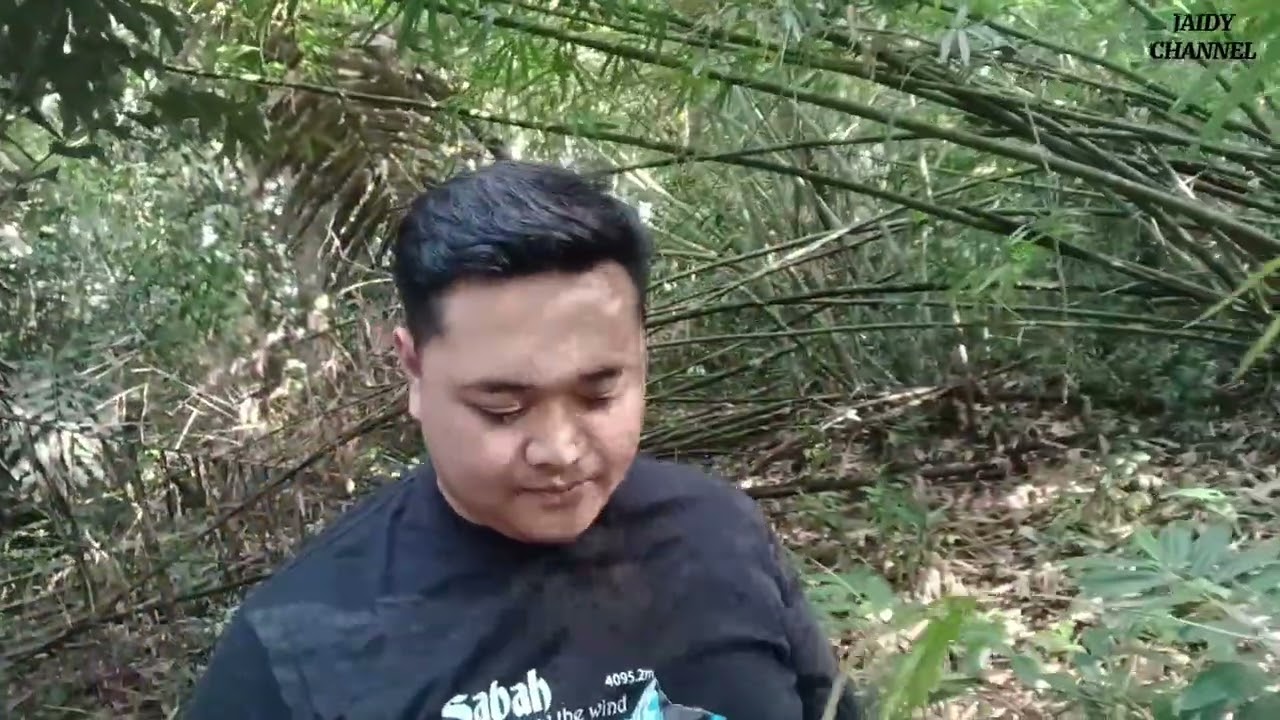 Lamak Tidak Masuk Hutan // Petang Ini Saya Ikut Meraka Masuk Hutan //