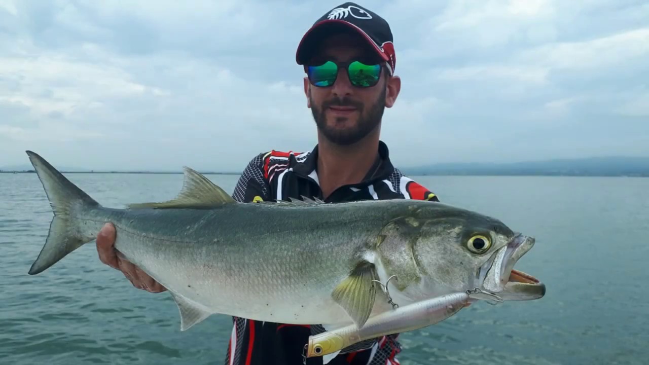 Anjovas en el Delta del Ebro con PESCA EBRO