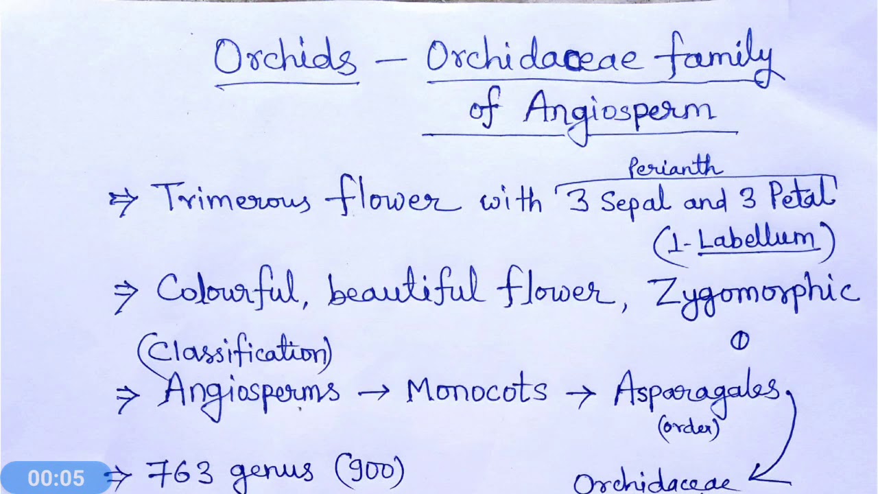 Orchidaceae family of angiosperm (hindi)