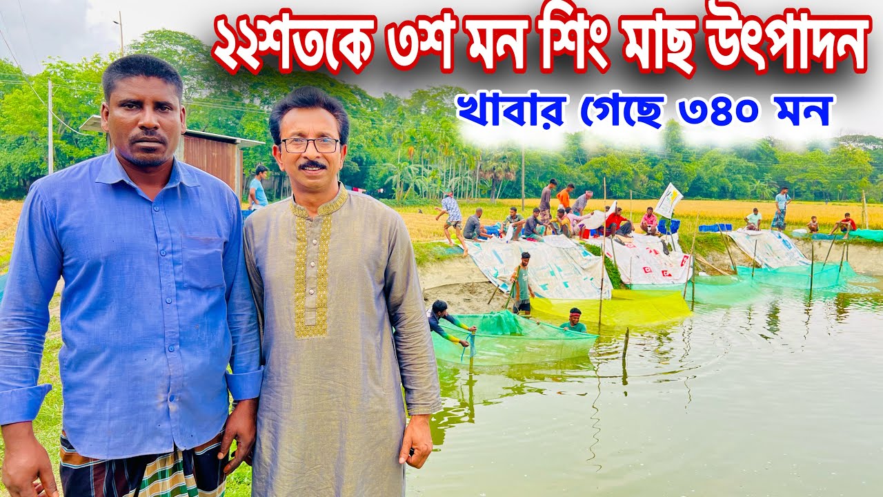 ২২শতকে ৩শ মন শিং মাছ উৎপাদন l খাবার গেছে ৩৪০ মন l catfish bd