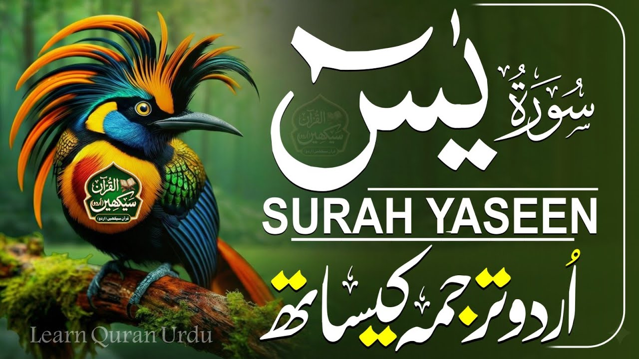 Surah Yasin Full with Urdu & Hindi Translation | Remove Worries & Anxiety | Qari Mansoor Ghaznavi