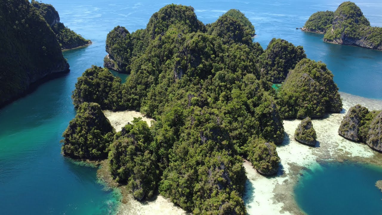 Snorkeling Misool, Indonesia