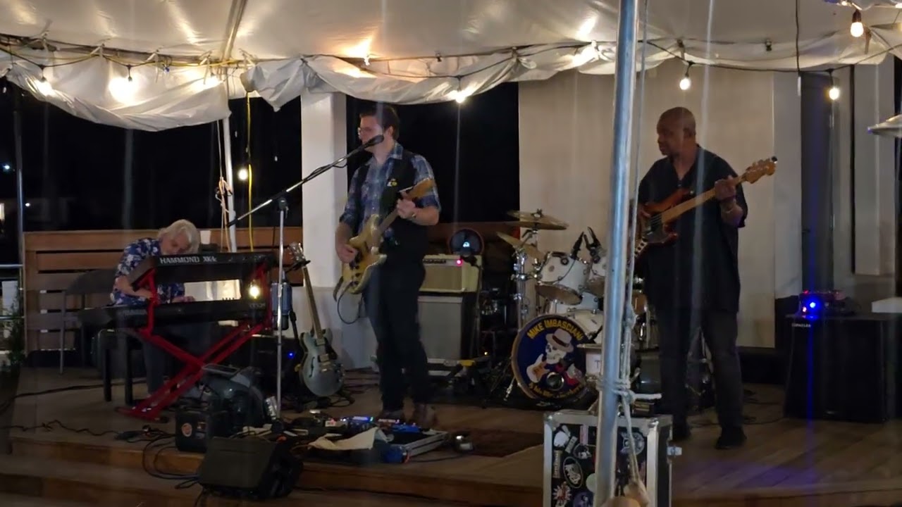 King Bee Mike Imbasciani #kennywayneshepherd #liveblues  #bluesmusic 
