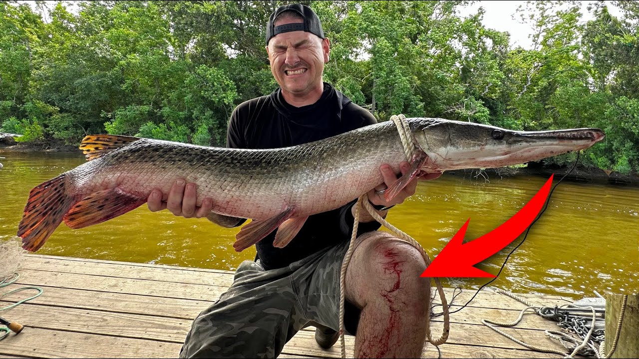 I got BIT while Catching a MONSTER!!