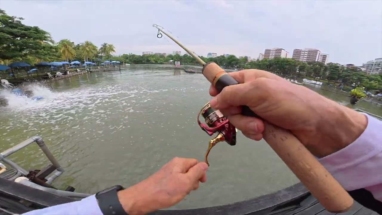 Rapala Fippy Spin paired with Rapala Rage R500UL reel
