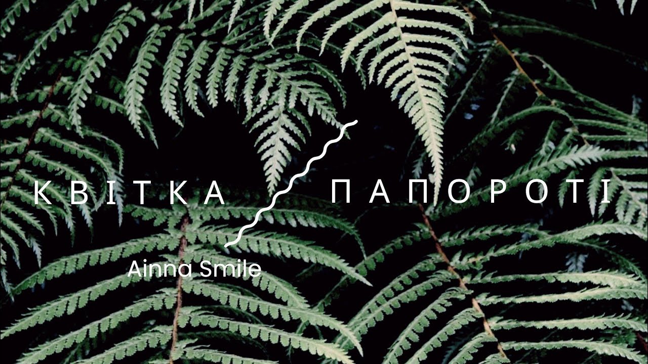 Квітка папороті. 🇺🇦Автор: Ainna Smile. #пісня #лірика #любов #новамузика #music #song #love #lyrics 