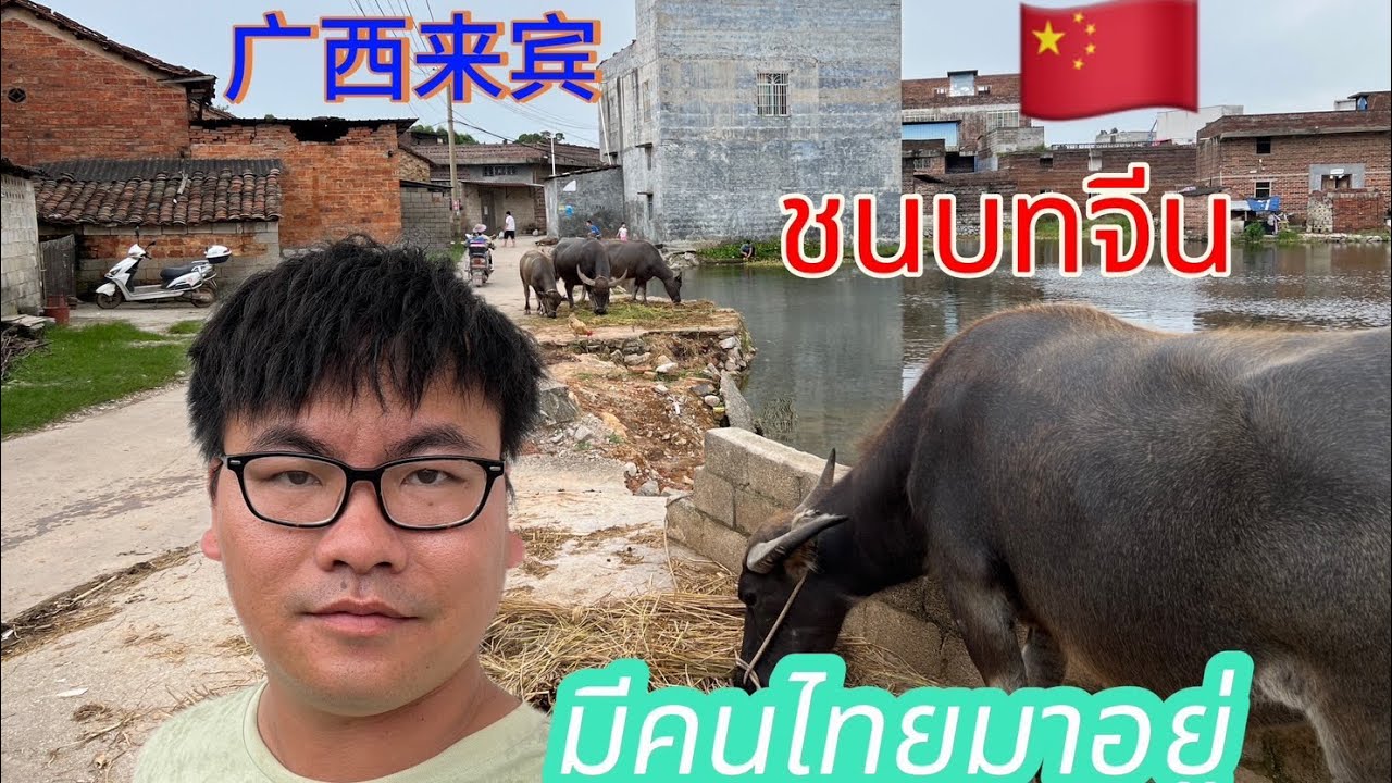 Ep33พาชมบรรยากาศชนบทจีนด้านที่สื่อไม่โชว์ มีคนไทยอยู่ด้วย广西来宾市lAchin trip Chinal 16 มิถุนายน 2567