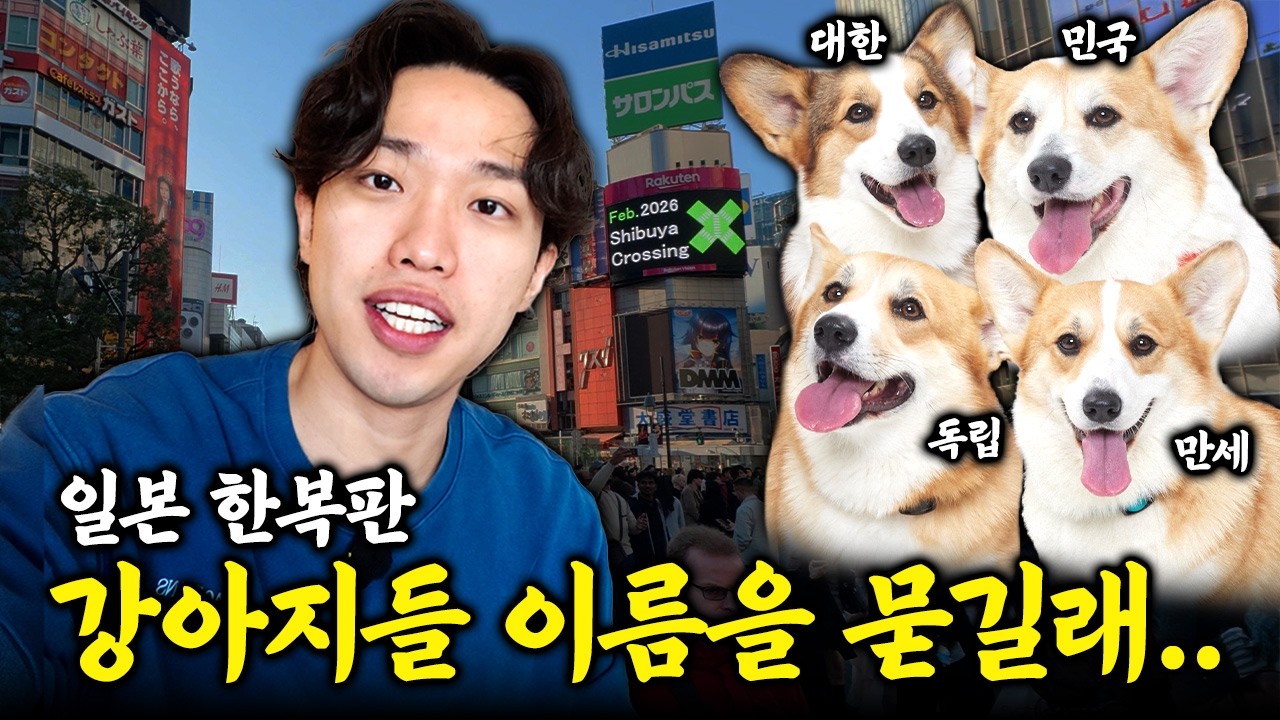 일본 한복판에서 강아지 이름을 묻길래 '독립'이라고 답했습니다