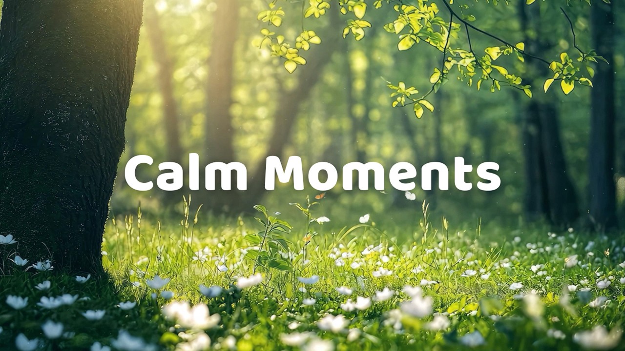 Calm Moments – Relaxing Piano Music for Study, Focus, Stress Relief & Deep Relaxation