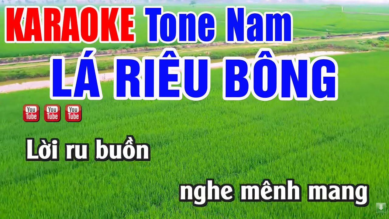 Lá Riêu Bông Karaoke Tone Nam Beat Chuẩn - Nhạc Sống Thanh Ngân