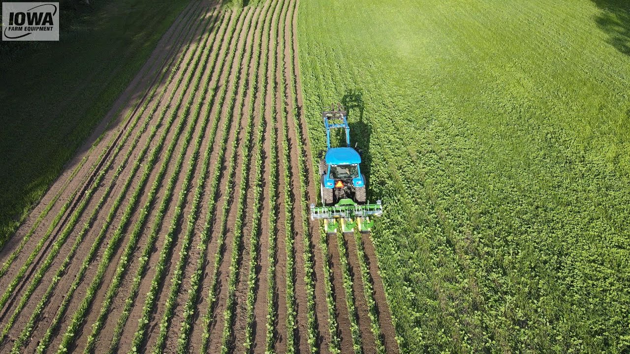 Badalini Inter-Row Inner Row Interrow Tiller Organic Weeder Rotary Tiller Cultivator